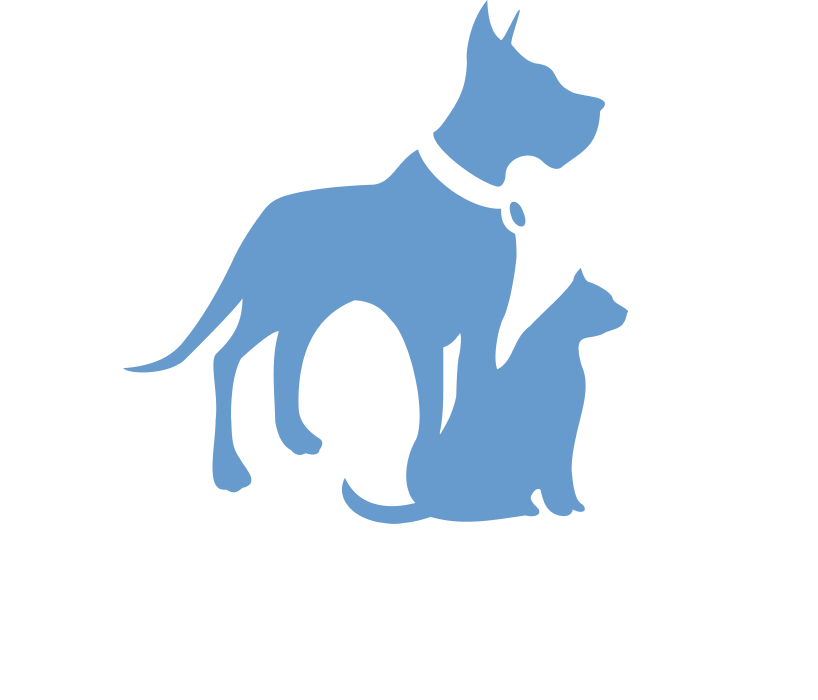 Picture of Boston's Best Dog Walkers Logo