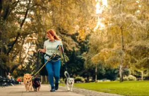 how long dog walkers walk dogs