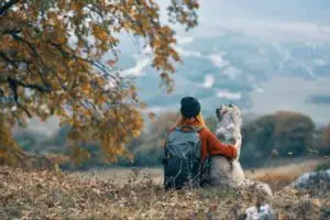 how train dog hiking