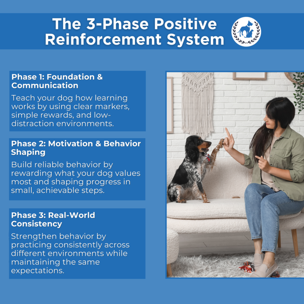 Positive Reinforcement Training for Dogs three phase positive reinforcement system