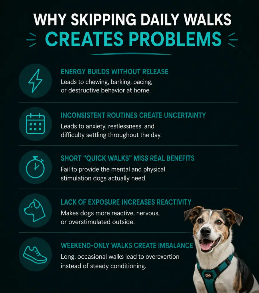 Infographic explaining how skipping daily dog walks can lead to excess energy, inconsistent routines, reduced stimulation, increased reactivity, and overexertion from weekend-only walks.