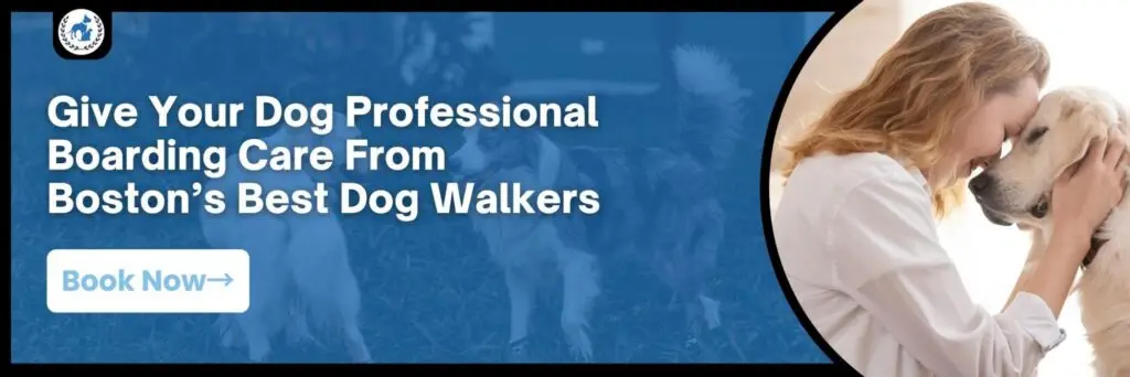 Image featuring a woman hugging her dog with text encouraging the reader to book boarding in Boston through Boston's Best Dog Walkers.