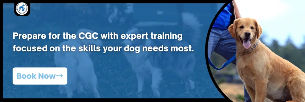 Banner promoting CGC dog training with a Golden Retriever on leash and a “Book Now” call-to-action.