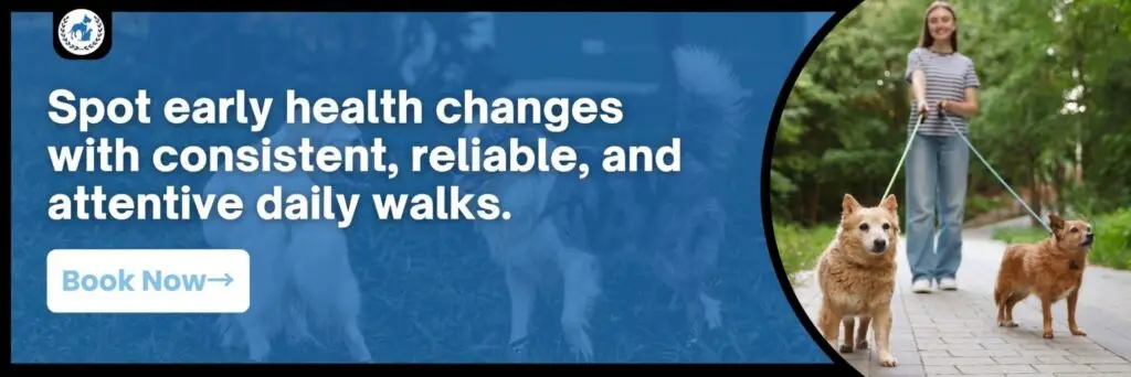 dog walking health