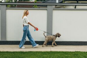 Woman walking a curly-haired dog on a leash along a sidewalk beside a residential wall.