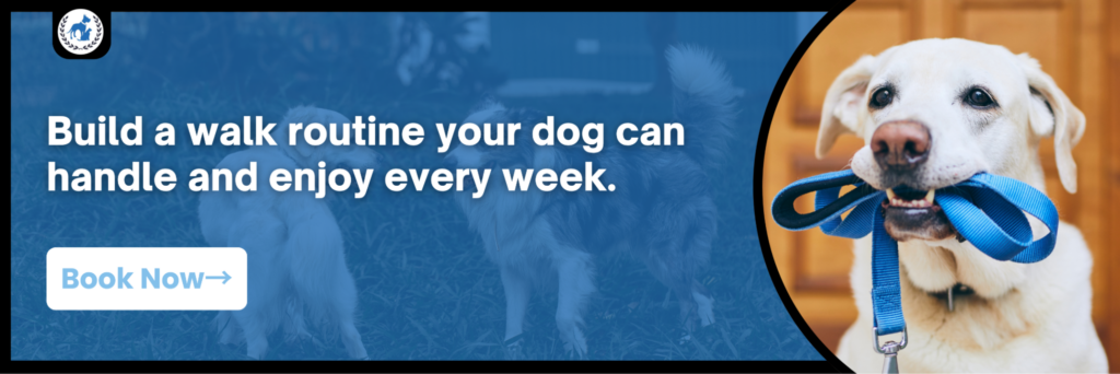White dog holding a blue leash beside the message “Build a walk routine your dog can handle and enjoy every week” and a “Book Now” button.